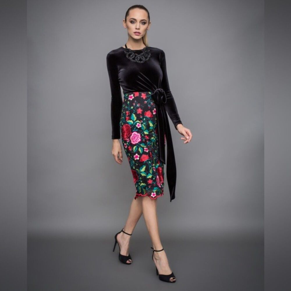 NISSA Velvet and Embroidered Long Sleeve Midi Dress 8 NWOT